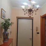 Mosas * אלגהרו